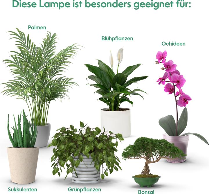 Produktbild Venso Grow Light Standard 6W 60° (LED, 245 V)