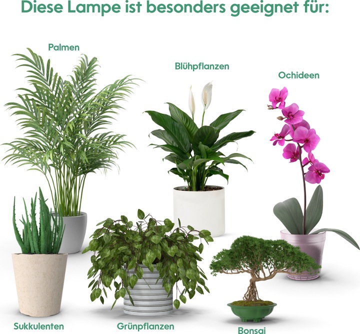 Produktbild Venso Grow Light Standard (LED, 245 V)