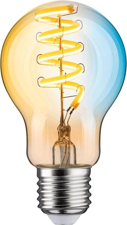 Image du produit Paulmann Filament (E27, 7 W, 600 lm, 1 x, G)