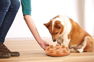 Produktbild Nina Ottosson Dog Smart CompositeLevel 1 (Intelligenzspielzeug Hund)