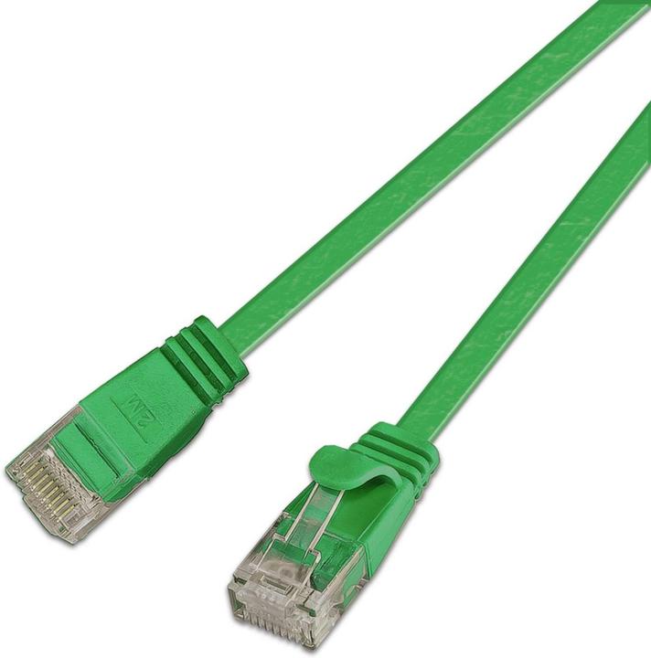 Actual product image Wirewin Network cable (U/UTP, CAT6, 0.15 m)