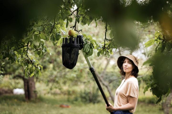 Produktbild Fiskars Obstpflücker