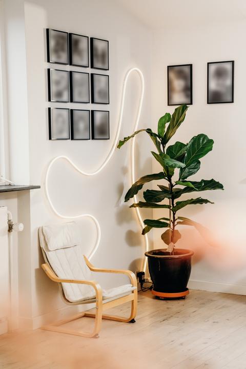 Actual product image Osram Smart+ Wifi Flex Magic RGB 5M Remote Control (Blue, Green, Red, 500 cm, Indoor)