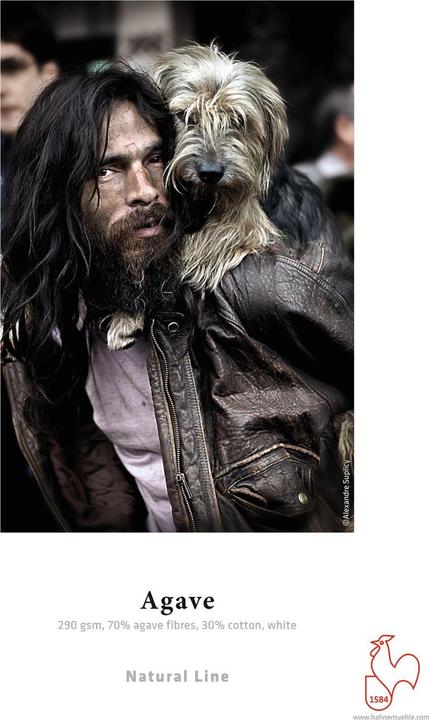 Actual product image Hahnemühle Agave A 4 290 g, 25 sheets, white matte (A4)