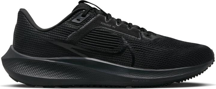 Image du produit Nike Pegasus 40 (47.5)