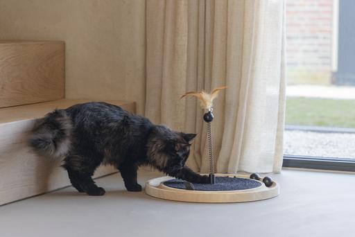 Produktbild Designed by Lotte Holz Kratzspielzeug (Kratzspielzeug Katze)