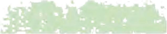 Actual product image Schmincke Pastel Chalk Moss Green 1 075 O