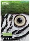 Image du produit Epson C13S450275NQ (A3+)
