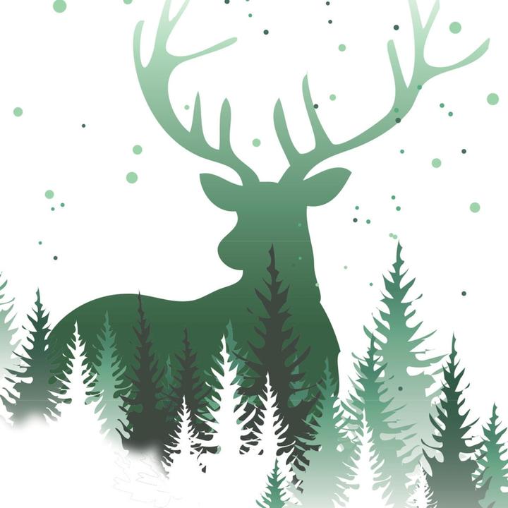 Nutritional values and ingredients Sigel Christmas Forest (90 g/m², 25 x, A4)