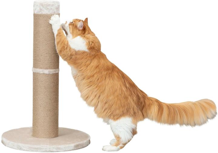 Image du produit Trixie Rue (80 cm, Beige)