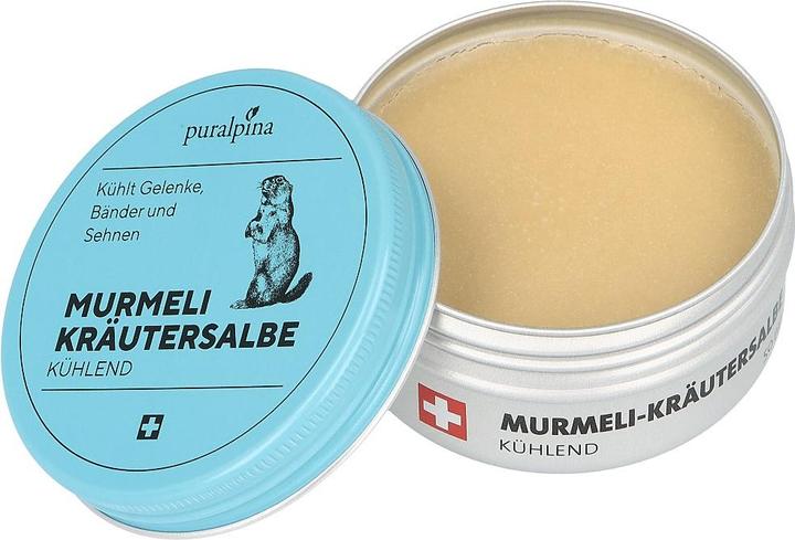 Image du produit Puralpina Pommade aux herbes Murmeli rafraîchissante (1 x, 50 ml, 70 g)