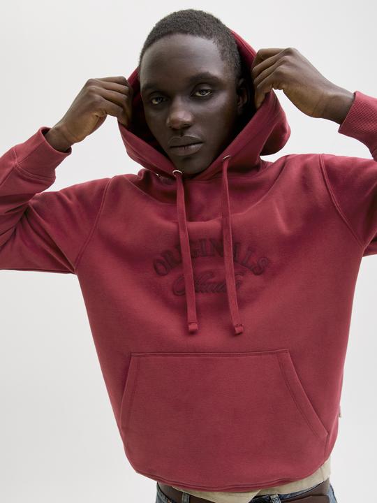 Image du produit Jack & Jones Kapuzenpullover Kapuzenpullover (XS)