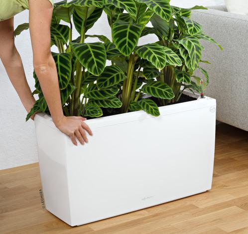 Produktbild Lechuza Cararo (30 cm)