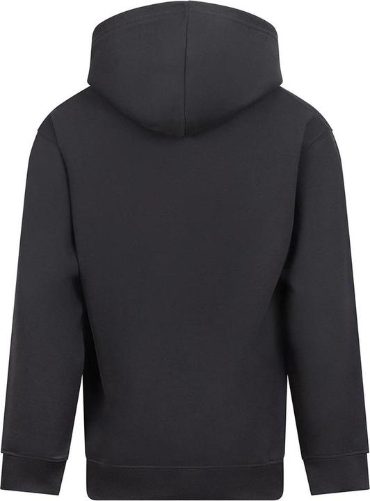Produktbild Awdis Kapuzen Pullover (116)