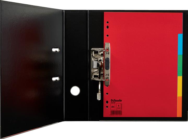 Produktbild Esselte Kartonregister Blanko