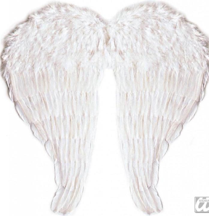 Immagine prodotto Widmann Ali d'angelo