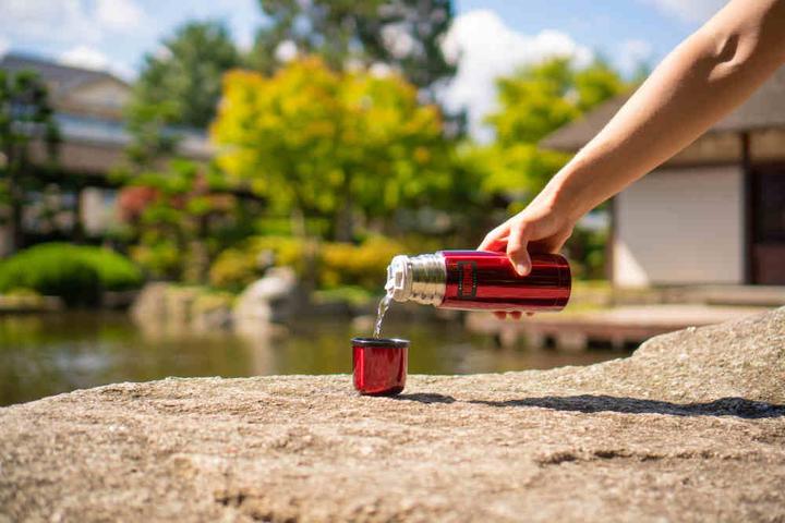 Image du produit Thermos Light & Compact (0.35 l)