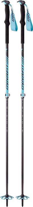 Image du produit Dynafit Free Vario Pole (105 - 145 cm)