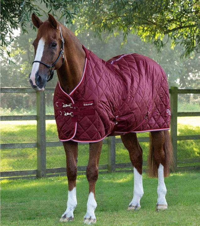 Produktbild Premier Equine 100g (221 cm)