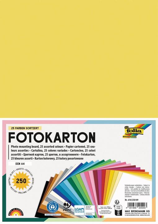 Immagine prodotto Folia Cartoncino fotografico, DIN A4, 300 g/mq, assortito (300 g/m², 250 x)