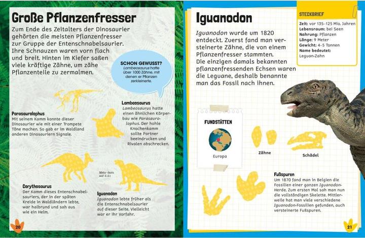 Immagine prodotto Lessico degli adesivi. Dinosauri