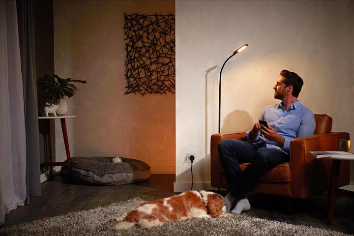 Productafbeelding Philips Schaduw Smart Plug