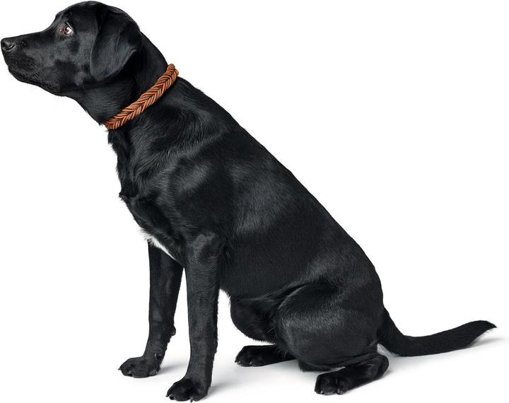 Produktbild Hunter Dogcollar Solid Education Cord M-L (60), dark brown/orange - (69319) (M, L, Hund, Allgemein)