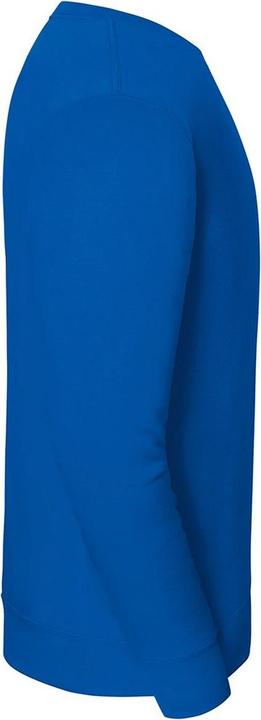 Produktbild Fruit of the Loom Iconic Premium Sweatshirt Eingesetzt (S)