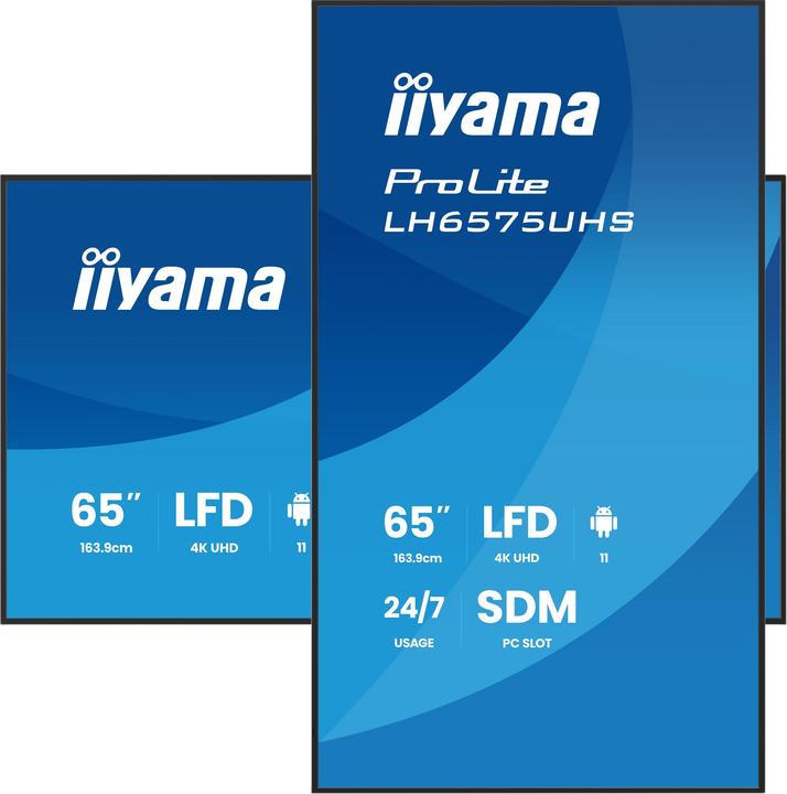Immagine prodotto iiyama 65" 3840x2160, UHD IPS panel, Haze 25% (3840 x 2160 pixel, 64.50")