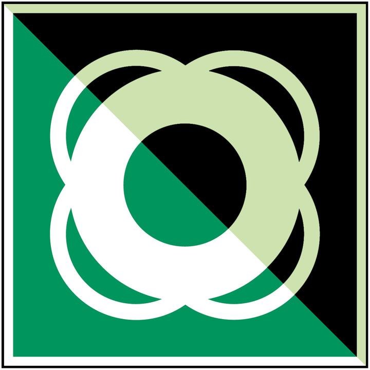 Actual product image Brady ISO safety sign - Lifebuoy