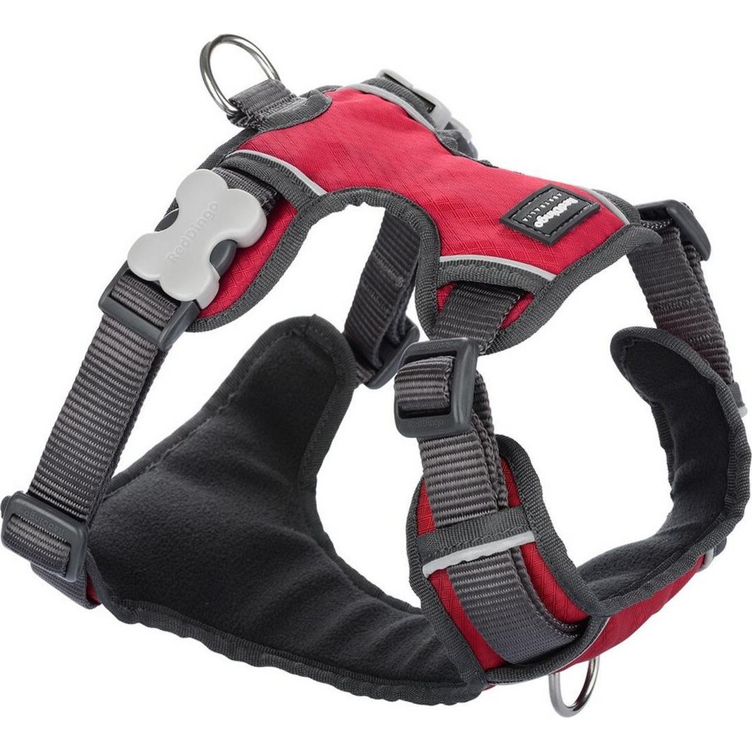 Red Dingo Hundegeschirr Polsterung L Rot (L, Hund), Halsband + Leine