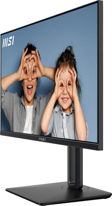 Image du produit MSI PRO MP251P (1920 x 1080 pixels, 24.50")