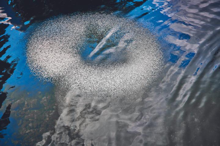 Actual product image Oase 88667 AquaOxy D 60cm aerator ring