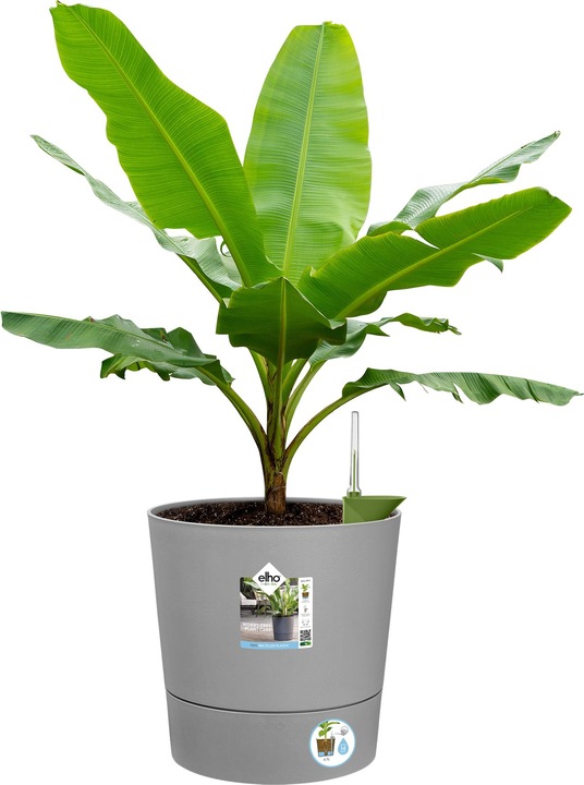Produktbild Elho Blumenschale (35 cm)