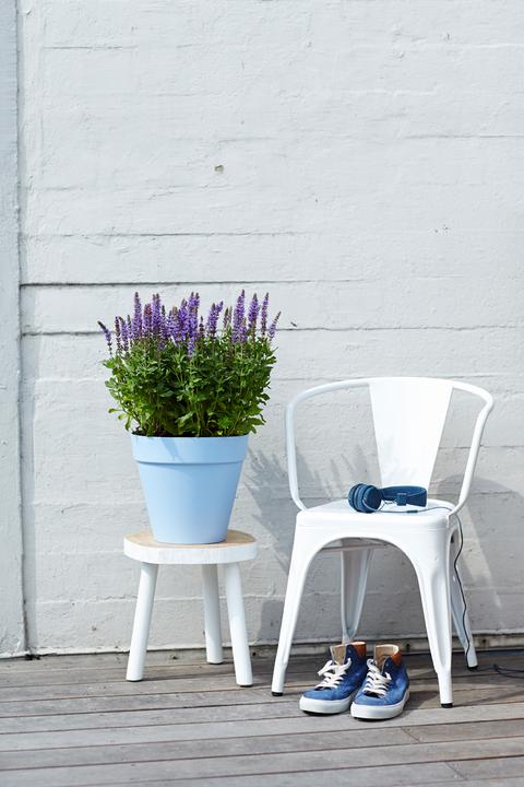 Actual product image Elho Loft Urban (50 cm)