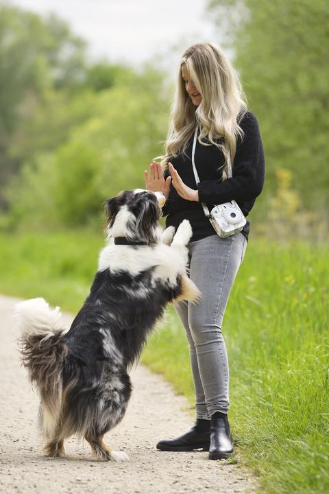 Immagine prodotto Cullmann RIO Fit 120 llama Borsa per fotocamera Instax Mini 12 (Custodia per fotocamera)