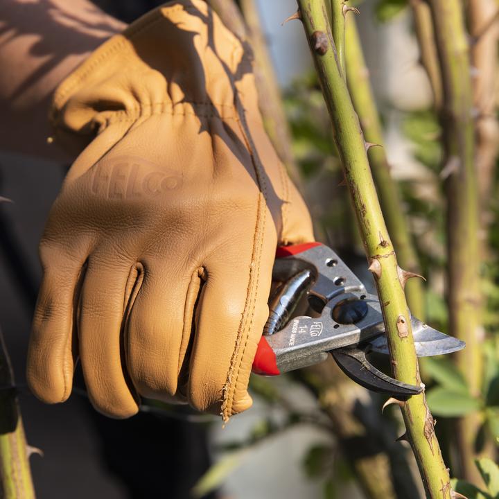 Immagine prodotto Felco 703L Guanti da giardinaggio in vera pelle, taglia L (L)