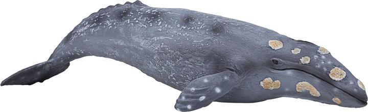 Produktbild Animal Planet Grauwal