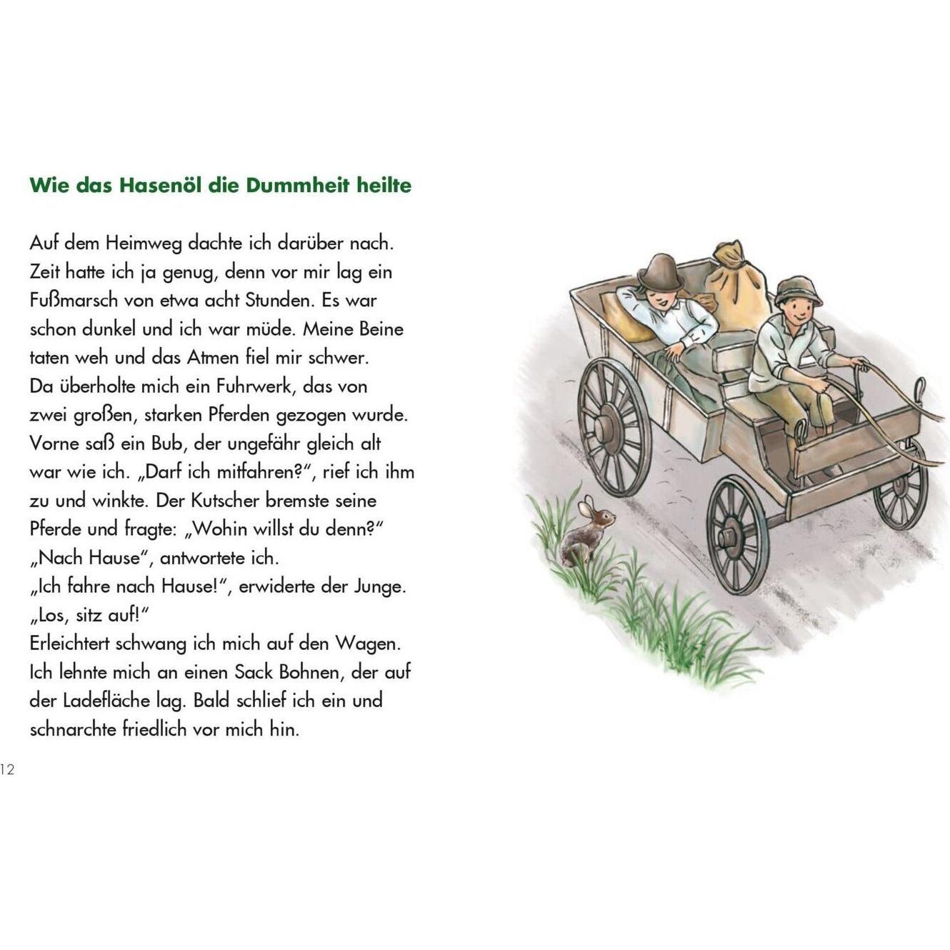Thumbnail - LESEZUG/Klassiker: Peter Rosegger, Kinderbücher von Karin Ammerer, Cornelia Seelmann