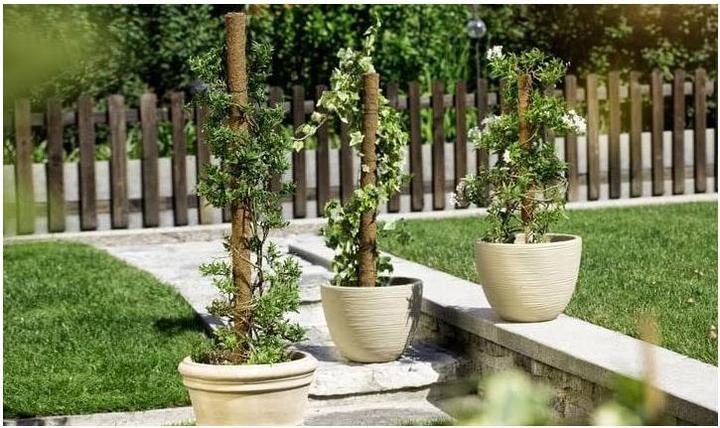 Produktbild Windhager Pflanzenstab Kokos (110 cm, 4.50 cm)