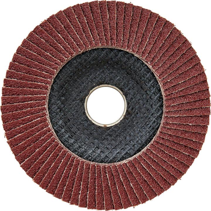 Werkzeugstore24 10x flap disc 125 mm curved aluminium oxide K 60 (60)