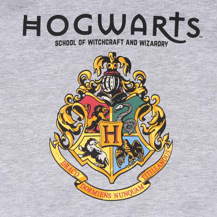 Produktbild - Hogwarts Crest (SuperHeroes Inc. Contrast Pullover) (XL)
