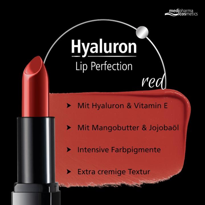 Produktbild Dr. Theiss Hyaluron Lip Perfection Lippenstift red, 4 g