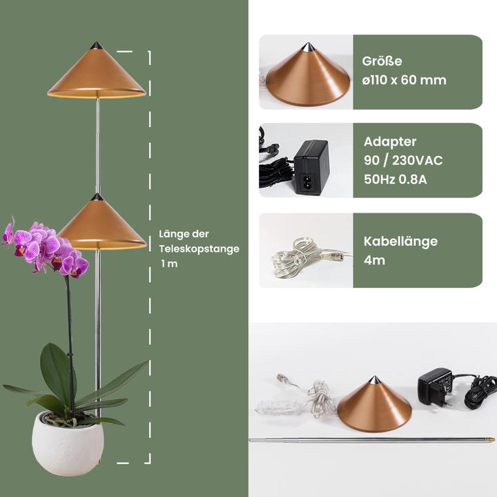 Actual product image Colibri Sunlite (LED, 230 V)