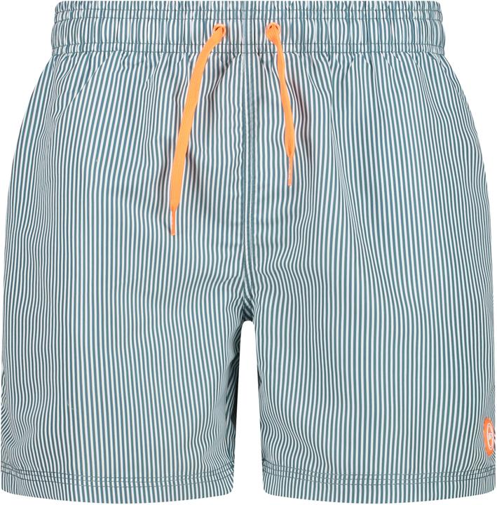 Actual product image CMP Campagnolo Beach Shorts Stripes (56)
