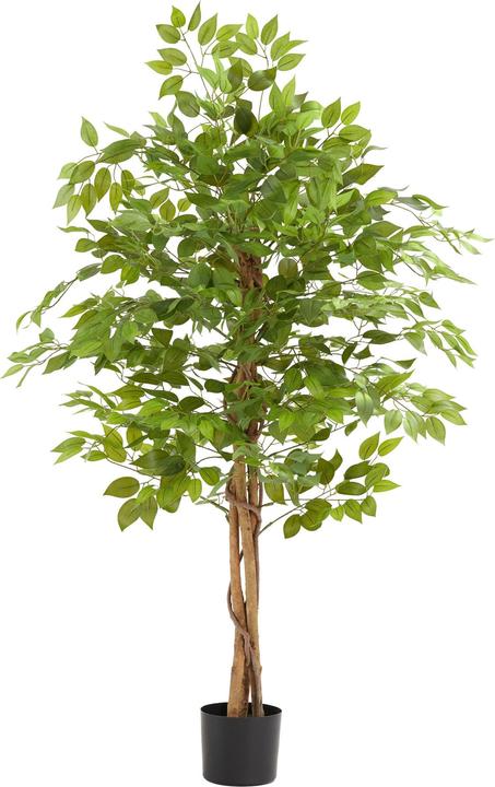 tectake Ficusbaum Fida (160 cm)