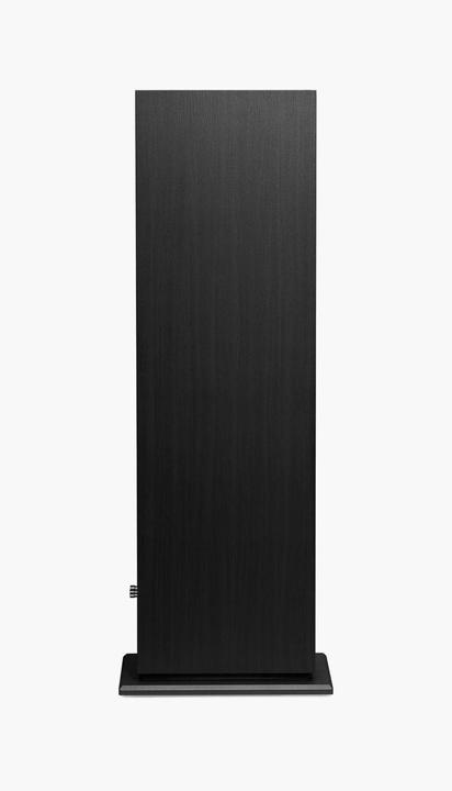 Produktbild Triangle BOREA BR07 Black Ash (1 Paar)