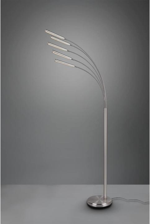 Actual product image Trio LED floor lamp REED 5xR410315073.5W 5x 350lm 3000K D.30xH (1750 lm)