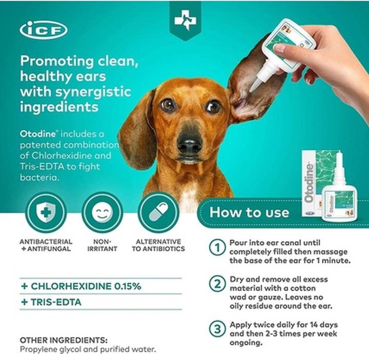 Actual product image Otodine Ear cleaner