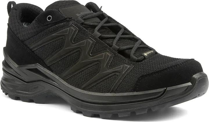 Image du produit Lowa Innox Pro GTX LO TF (45)